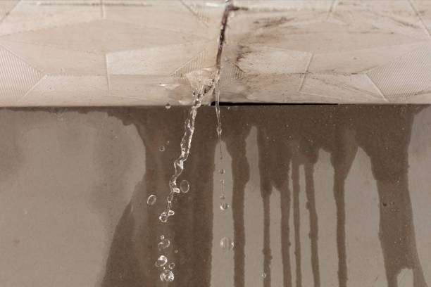Professional Water Extraction technician working in Wrightsboro, TX